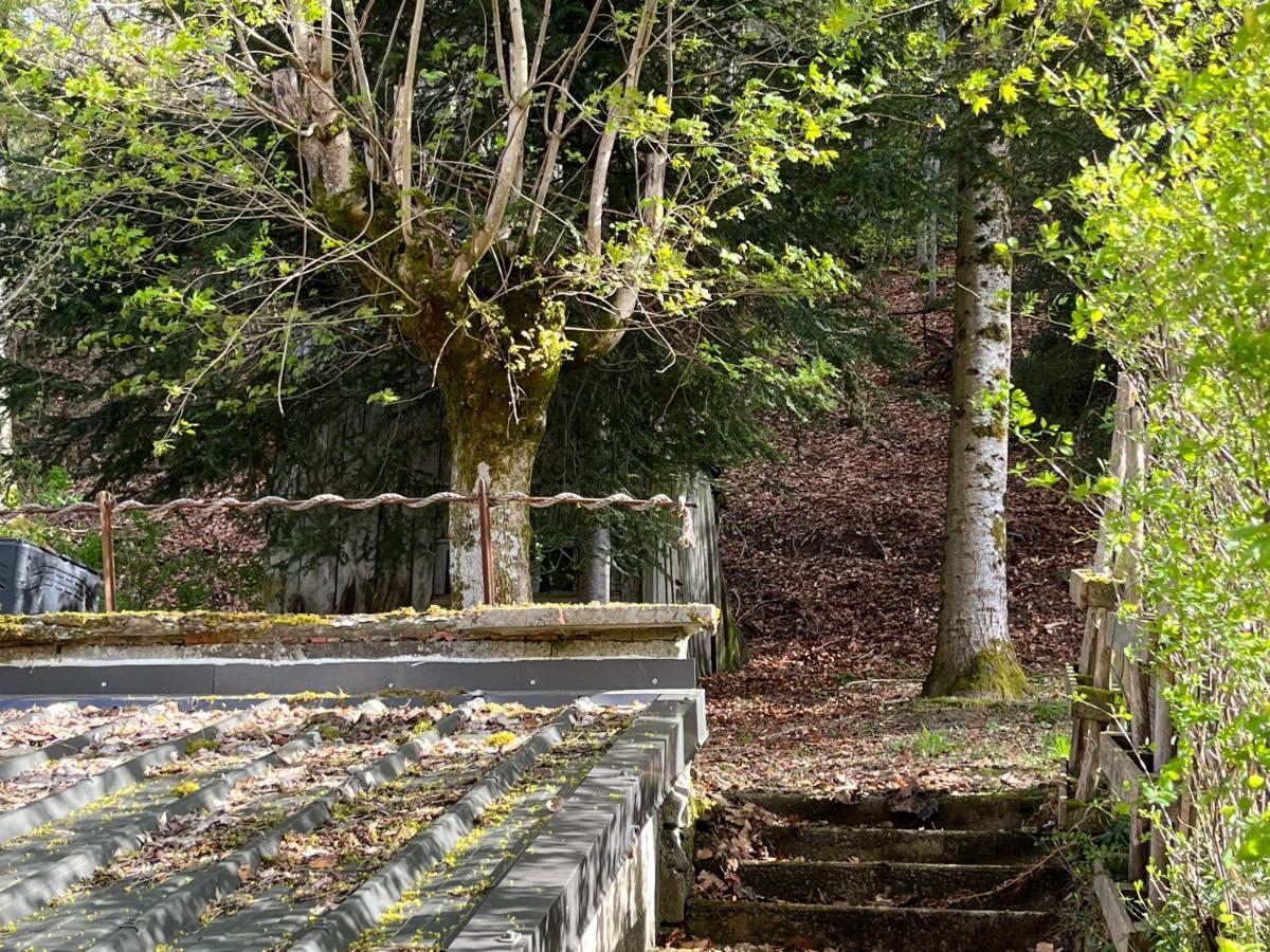Villa La Butte La Bourboule Εξωτερικό φωτογραφία